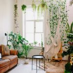 how to arrange house plants in living room