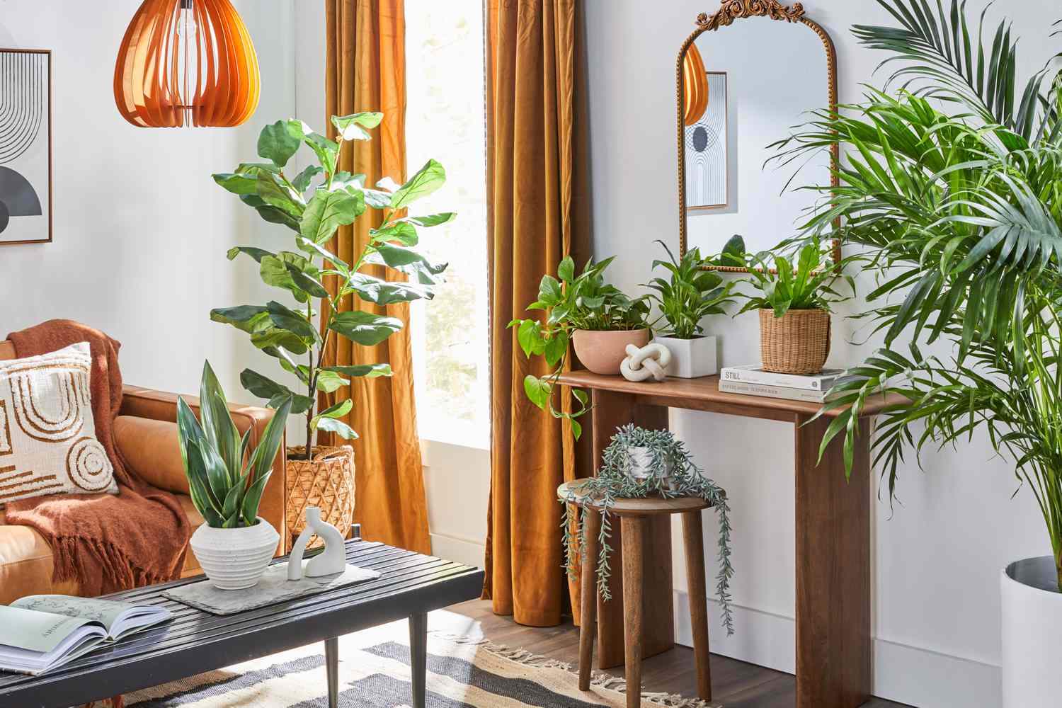 how to arrange house plants in living room