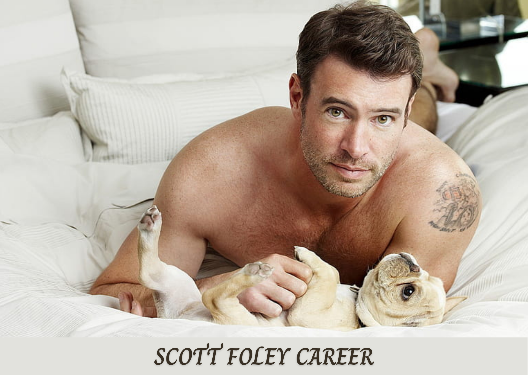 Scott Foley Career