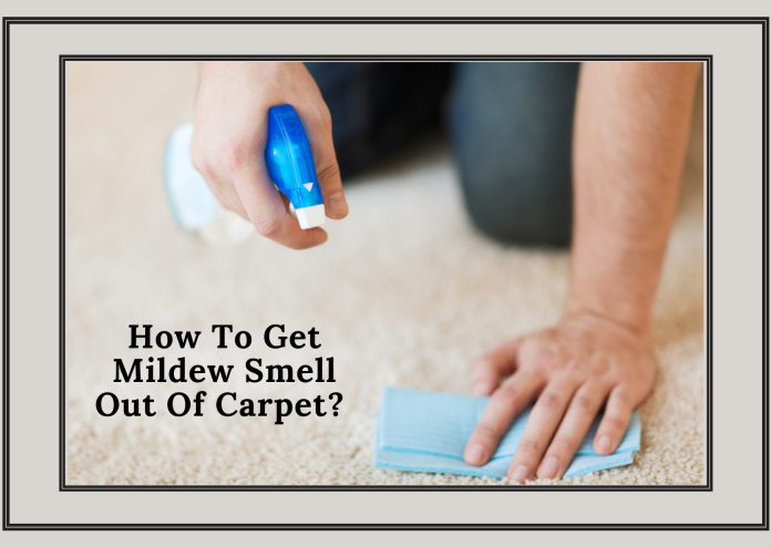 How To Get Mildew Smell Out Of Carpet- The Six Main Steps!